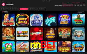 nnbet App Interface